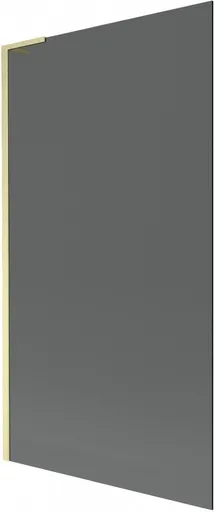 MEXEN/S Next L vanová zástěna FIX 100 x 150, grafit, zlatá kartáčovaná 895-100-000-03-40-55