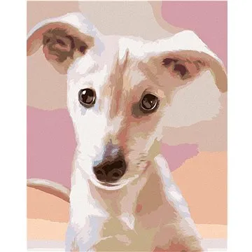 Diamondi - Diamantové malování – ŠTĚNĚ (CAROL CAVALARIS), 40x50 cm, bez rámu a bez vypnutí plátna (607074A)