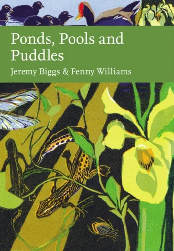 Ponds, Pools and Puddles - Jeremy Biggs, Penny Williams