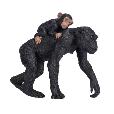 Šimpanz s mládětem