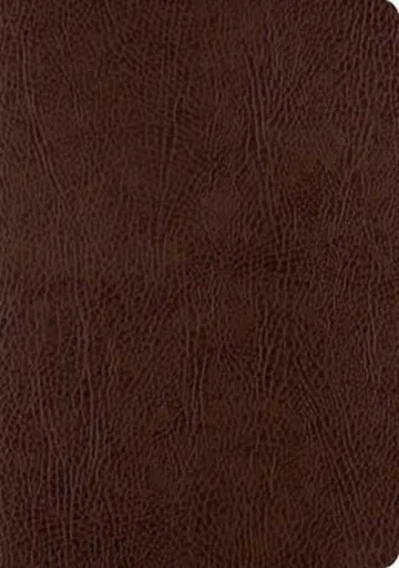 ESV Single Column Journaling Bible, Large Print