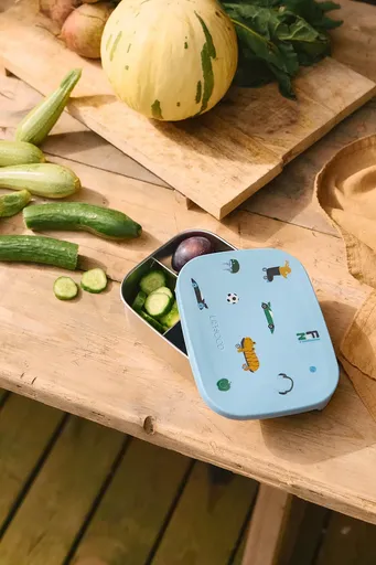 Dětský obědový box Liewood Arthur Printed Lunchbox