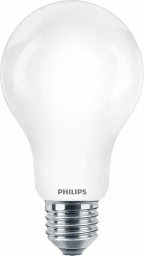 Philips CorePro LEDBulb ND 120W E27 A67 865 FR G