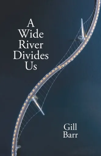A Wide River Divides Us - Gill Barr