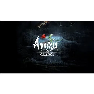 Amnesia Collection - PC DIGITAL (731305)