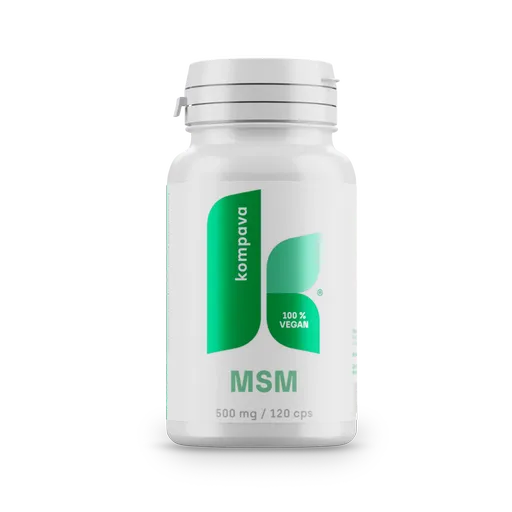 KOMPAVA MSM 500 mg/120 kapslí