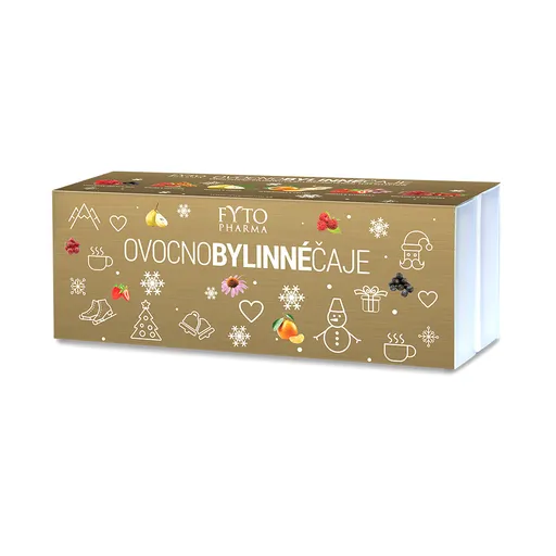 Fytopharma Ovocno-bylinný MIX čajů zimní edice 60x2 g