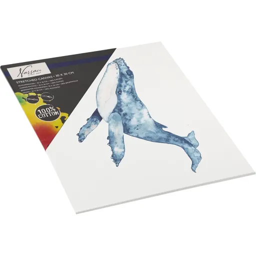 Malířské plátno 30 x 30 cm