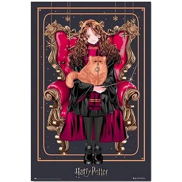 Harry Potter - Hermione - plakát (8435497283407)