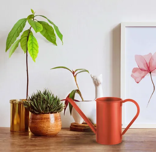 Kropící konev / Konev na zalévání SLK0007