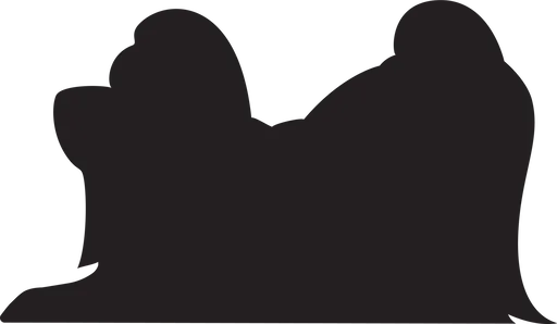 Vsepropejska Shih-tzu 2 dřevěná dekorace na zeď Rozměr (cm): 22 x 38