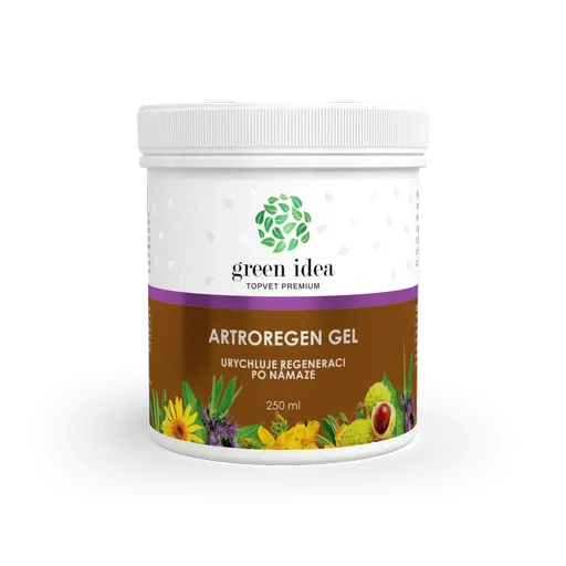 Artroregen masážní gel 250 ml - Green idea