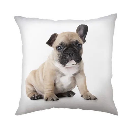 Jerry Fabrics Dětský polštářek s potiskem - Bulldog | 40 x 40 cm