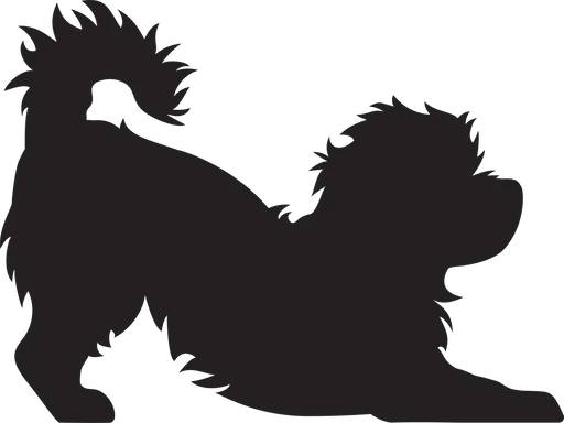 Vsepropejska Maltézský psík 3 dřevěná dekorace na zeď Rozměr (cm): 28 x 38