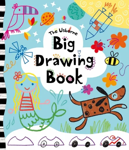 Big Drawing Book - Fiona Wattová
