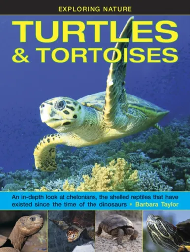 Exploring Nature: Turtles & Tortoises - Taylor Barbara