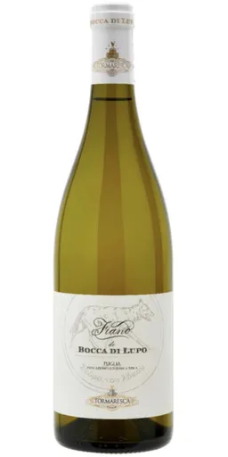 Fiano di "Bocca di Lupo” IGT
