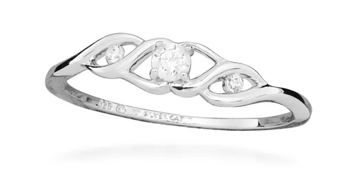 Silver Cat Stříbrný dámský prsten s kubickými zirkony SC570 56 mm