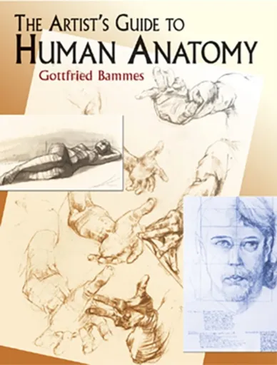The Artist's Guide to Human Anatomy - Bammes Gottfried